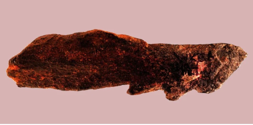 Дивовижна знахідка: вчені знайшли артефакти предків сучасних людей