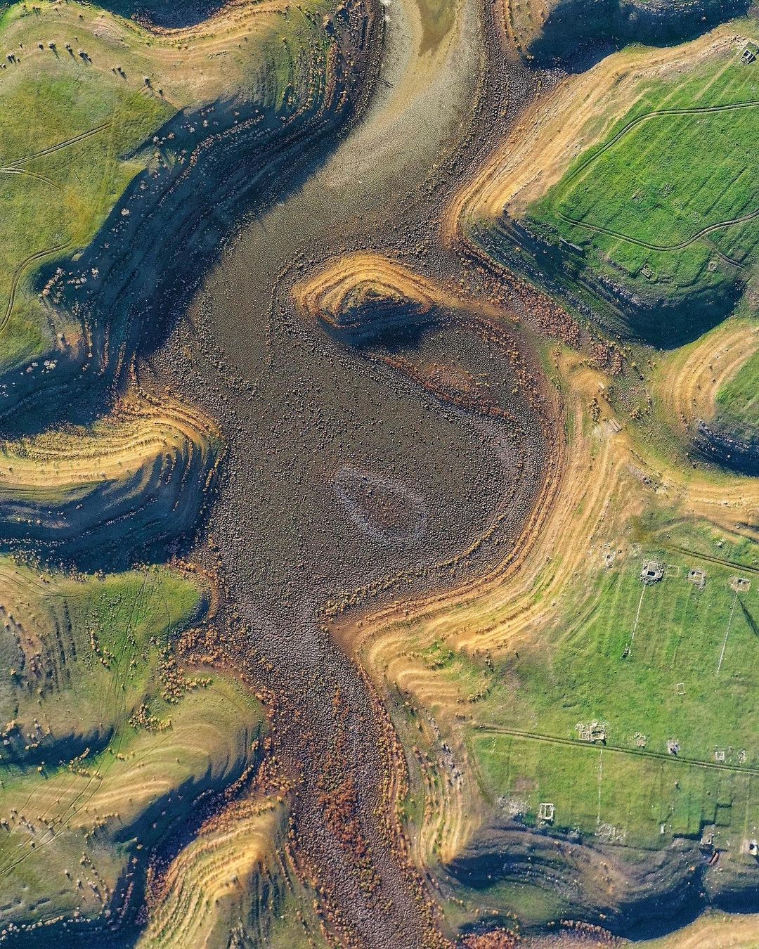 У Криму висохло велике прісне озеро: на дні ростуть дерева