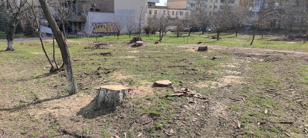 У Києві знищили дерева у сквері, який створили на честь українського розвідника (фото)