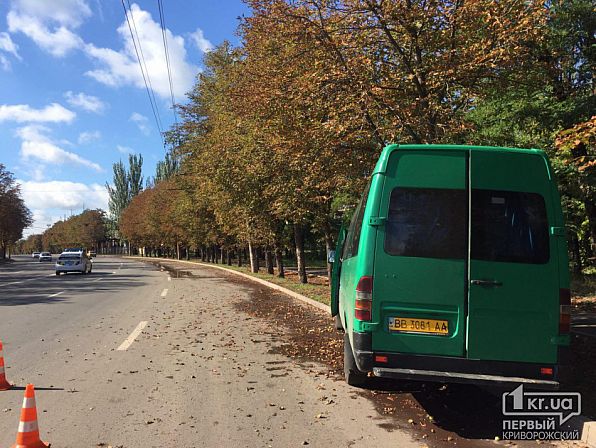 В Кривом Роге маршрутка врезалась в дерево, есть пострадавшие