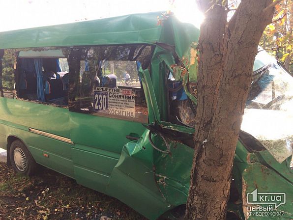 В Кривом Роге маршрутка врезалась в дерево, есть пострадавшие