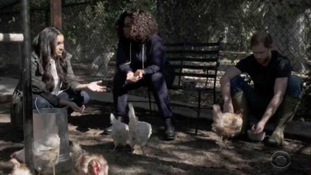 Меган Маркл і принц Гаррі показали миле відео з сином Арчі на пустельному пляжі