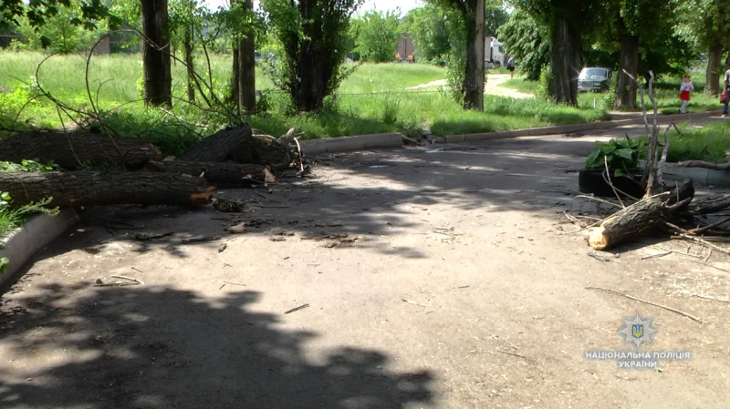 В Черкассах на группу школьников упало дерево, четверых детей госпитализировали
