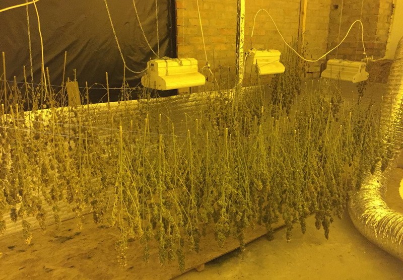 В Полтавской области разоблачили международную нарколабораторию