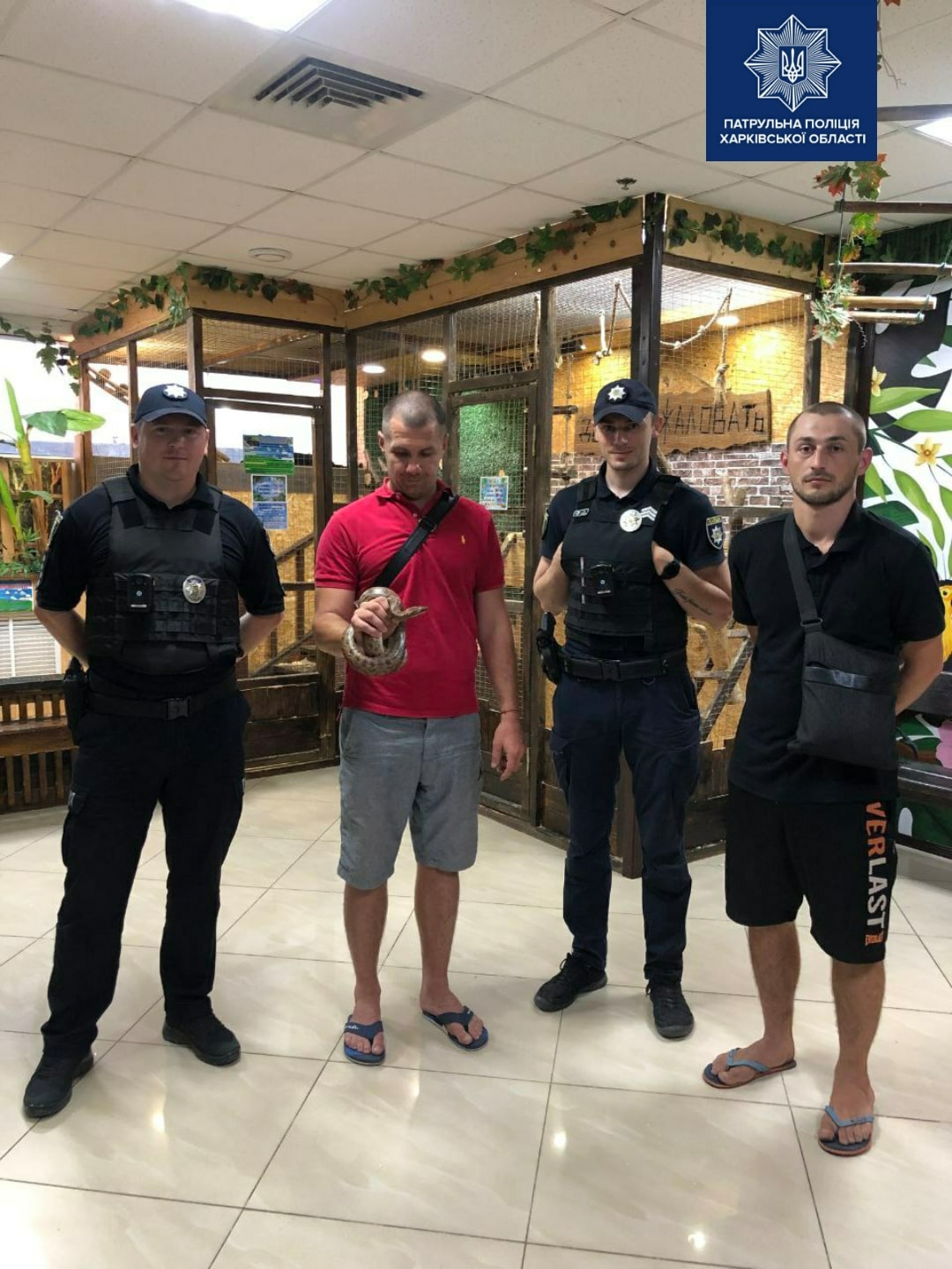 У Харкові жінка знайшла пітона в квартирі під ліжком (фото)