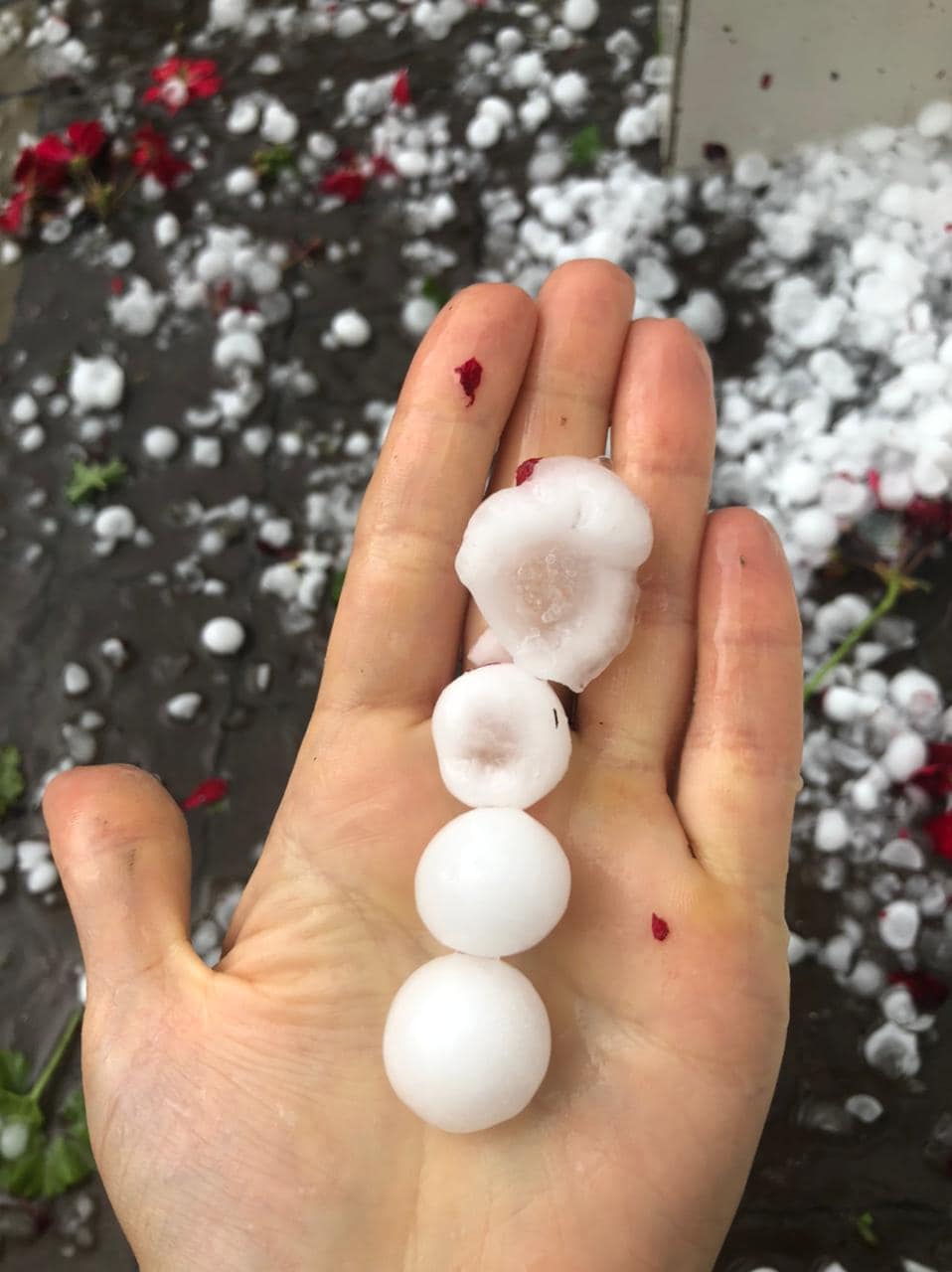 Под Тернополем выпал гигантский град размером с пельмени: "на очереди американские смерчи?"