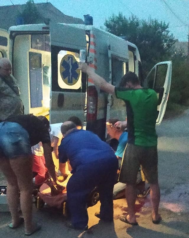 В Запорожье бездомный пес загрыз женщину: кто ответит за это?