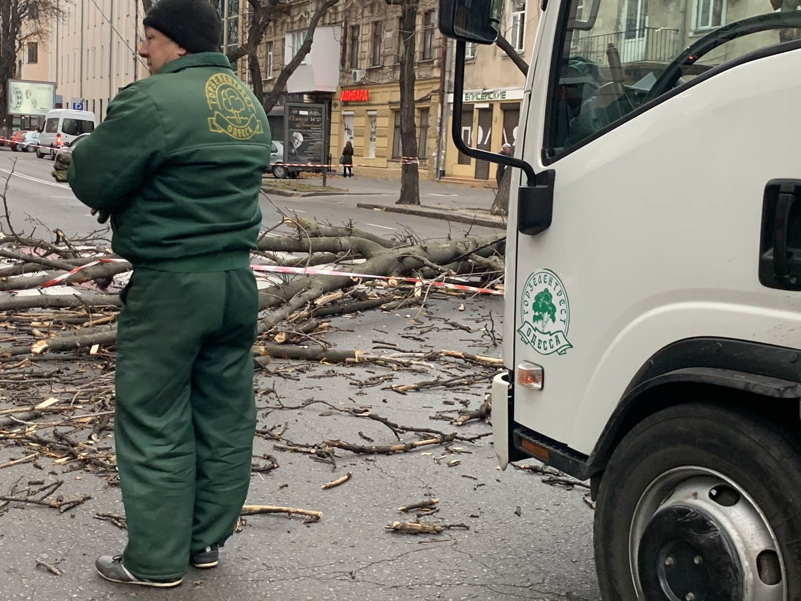 В Одесі потужний шторм повалив дерева і наробив багато біди (фото)