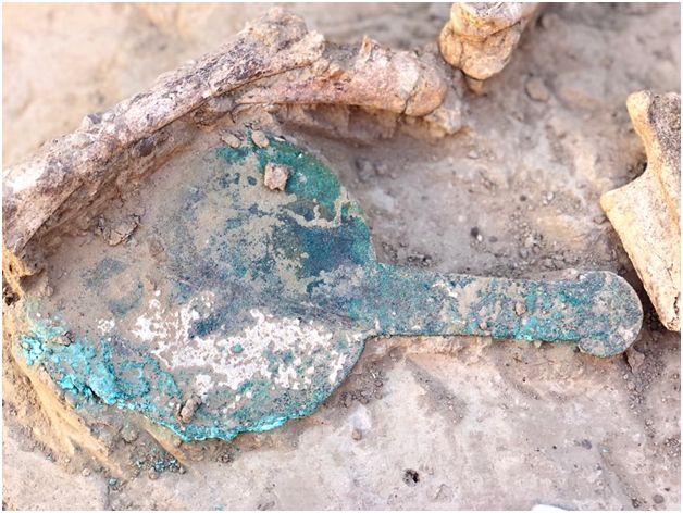 Новое исследование о скифах в Украине перевернуло представление о древнем народе