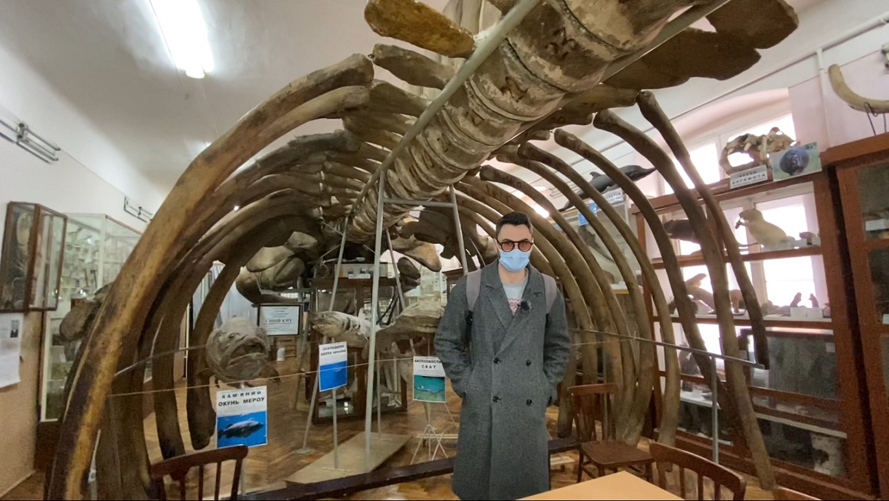 Ці секретні місця Чернівців зобов'язаний побачити кожен: фото і відео краси