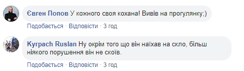 Новий міст у Києві знову "атакували": входить в моду у дятлів (фото)