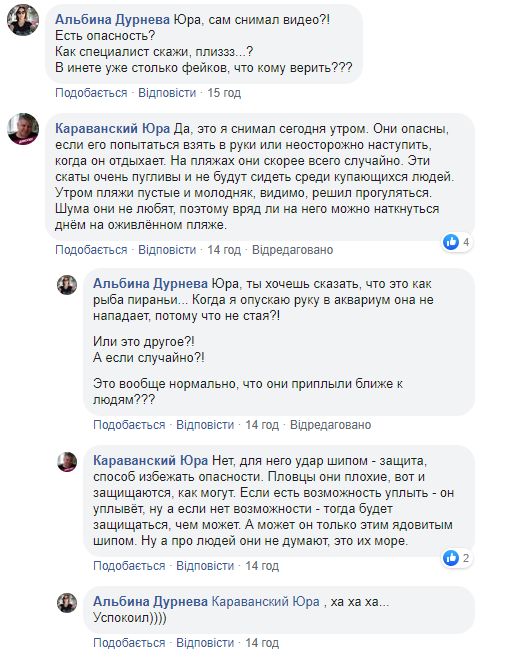 На одесском побережье заметили опасных морских животных: в сети переполох (видео)