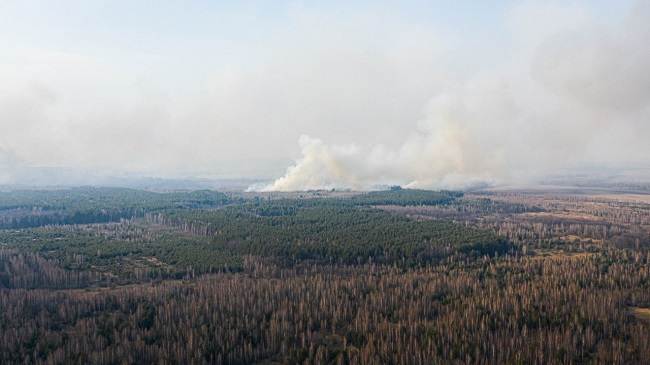Когда в Киеве будет высокая концентрация дыма из Чернобыля: названа дата
