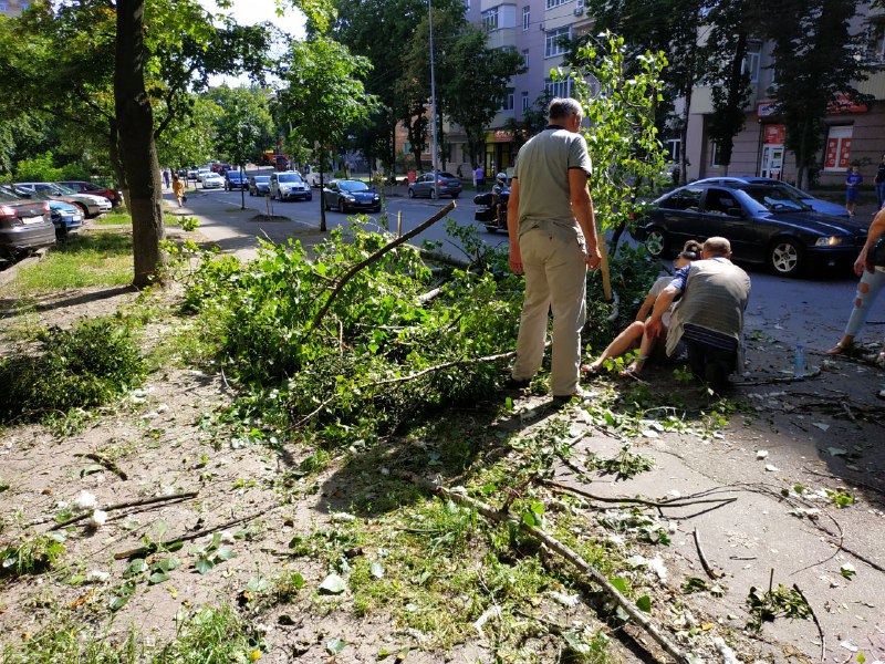 В Киеве на девушку упало дерево: фото инцидента