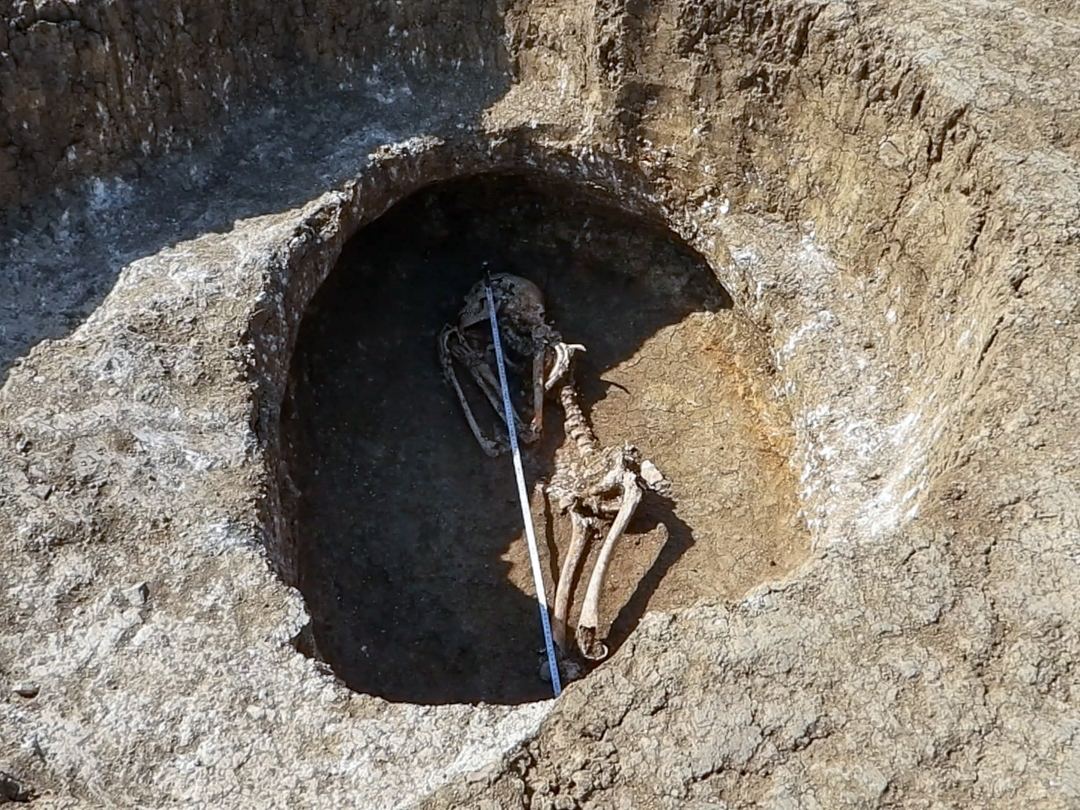 В Крыму строили водовод и наткнулись на 5000-летнее поселение (фото)