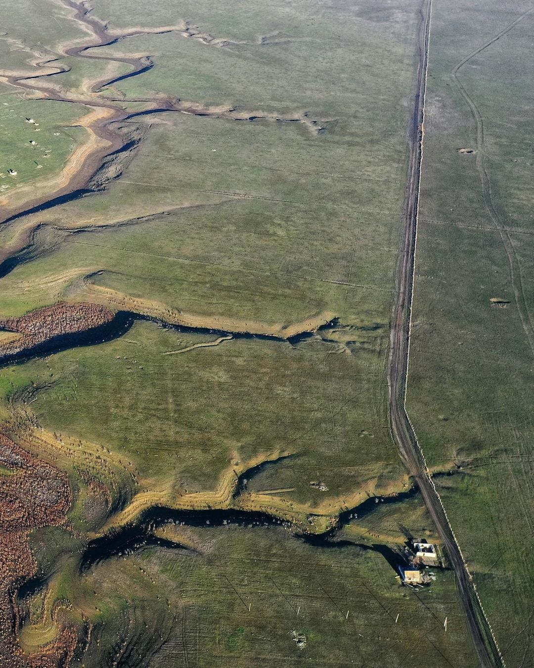 У Криму висохло велике прісне озеро: на дні ростуть дерева