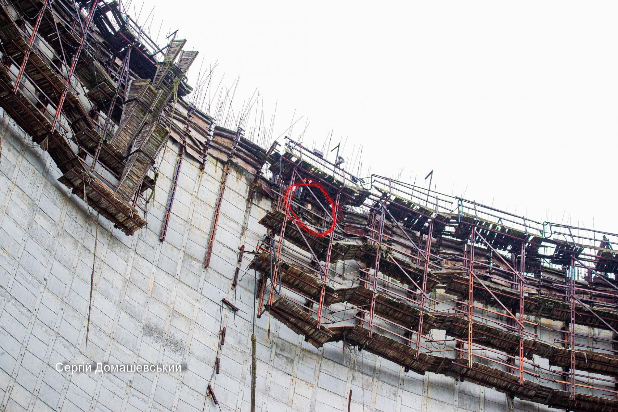 У Чорнобилі величезний хижий птах оселився прямо на градирні ЧАЕС (фото)