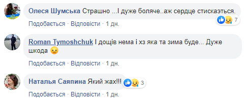Одне з семи природних чудес України спіткала екокатастрофа: деталі та фото