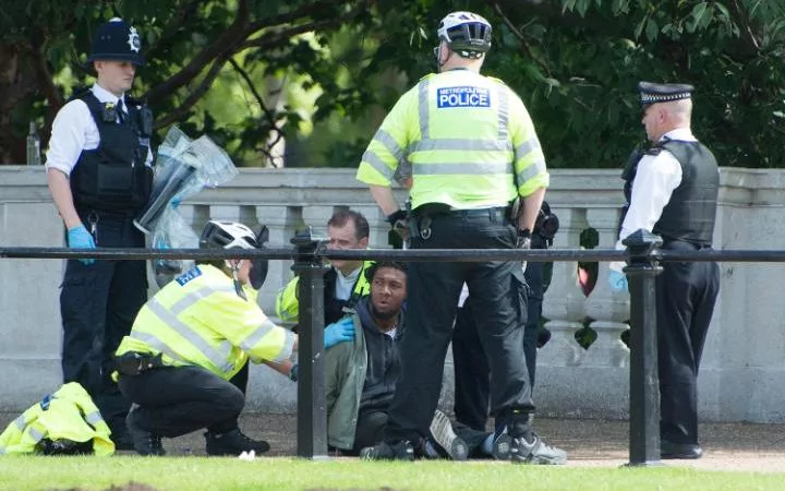 Біля Букінгемського палацу заарештували чоловіка з ножем