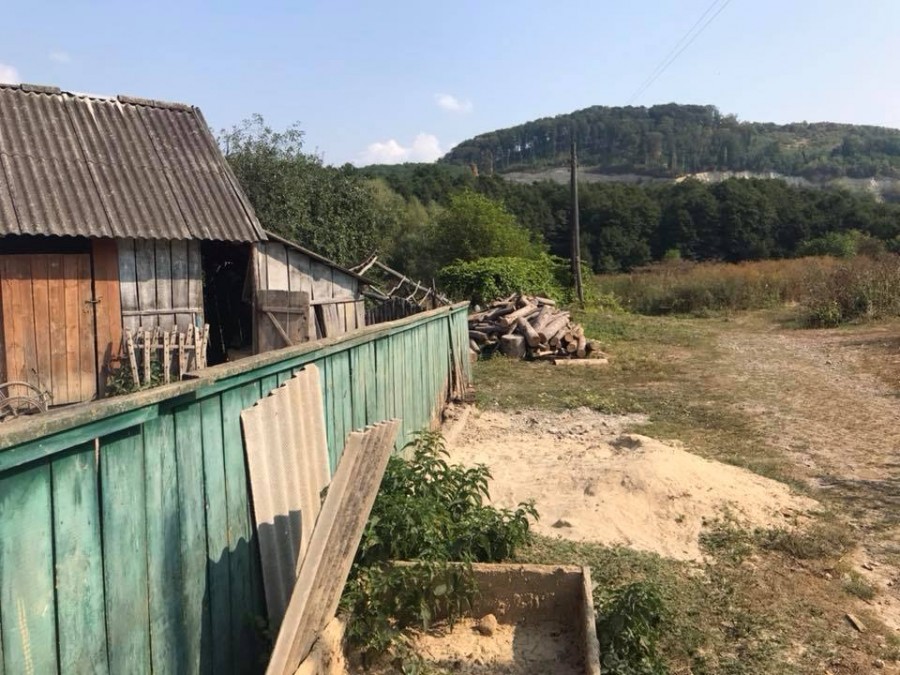 Боїться людей і не розмовляє: на Прикарпатті знайшли хлопчика-мауглі (фото)