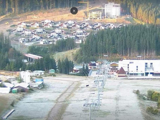 Зима пришла: в сети появилось фото первого снега в Буковеле