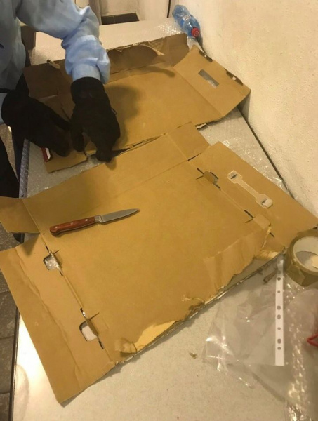 В аеропорту "Бориспіль" виявлені 5 кг кокаїну