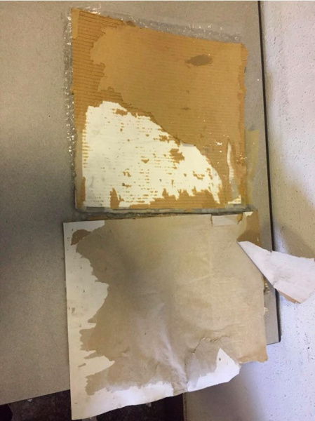 В аеропорту "Бориспіль" виявлені 5 кг кокаїну