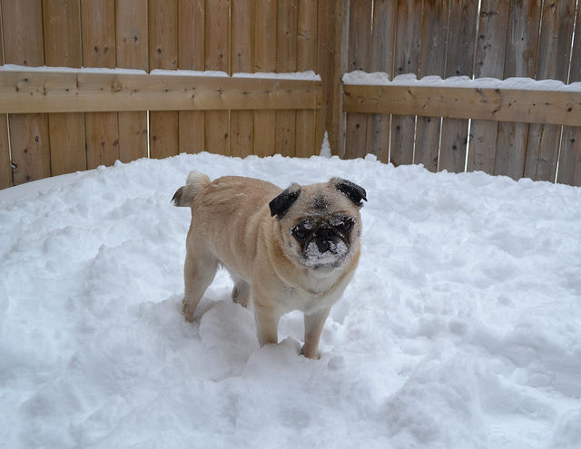 Как лучше просыпаться зимой: 5 советов для украинцев