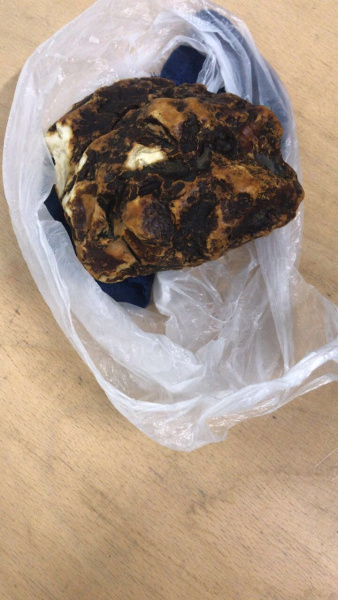 Прикордонники затримали поляка, який вивозив із України 13 кг бурштину