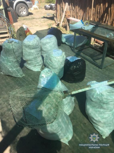 У заповіднику в Миколаївській області браконьєри виловлювали креветки в промислових масштабах