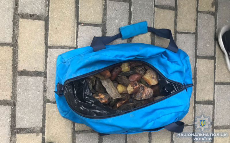 Нацполиция изъяла 70 кг янтаря на 600 тыс. гривен