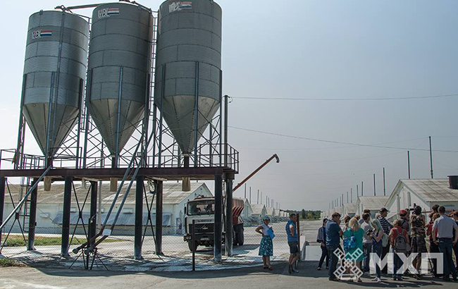 Миронівський хлібопродукт Косюка: свіжі новини, статистика та фінансова інформація