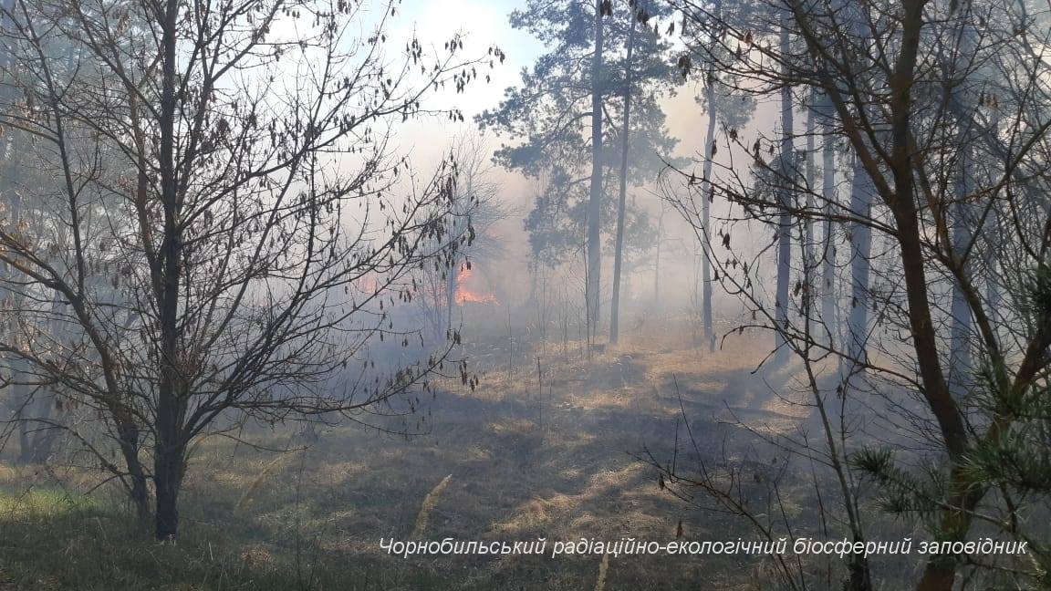 Мир красоты стал пепелищем: потрясающие фото из зоны отчуждения до пожаров