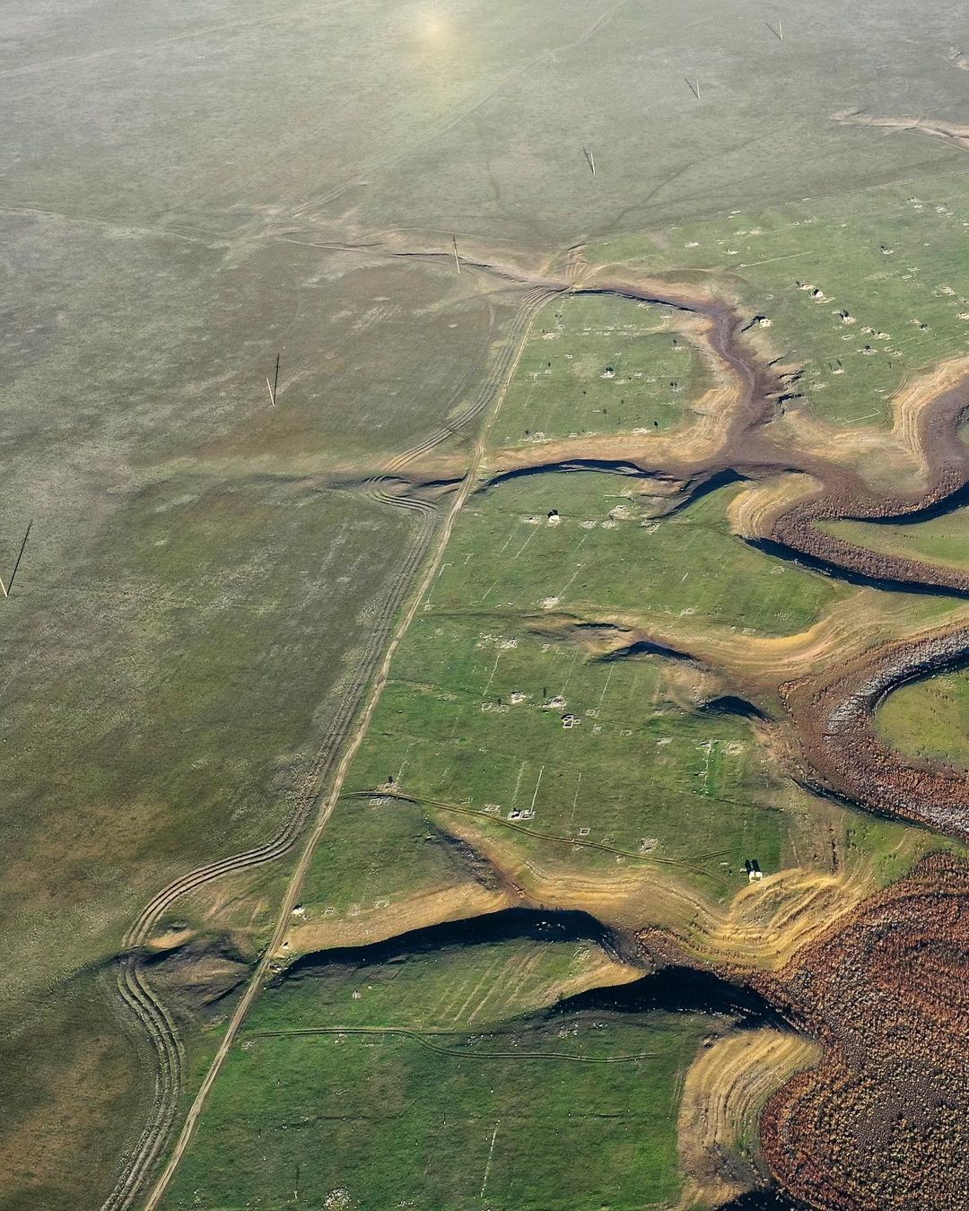 У Криму висохло велике прісне озеро: на дні ростуть дерева