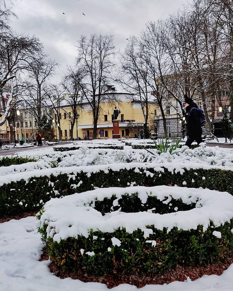 Украину засыпает снегом: появились впечатляющие фото