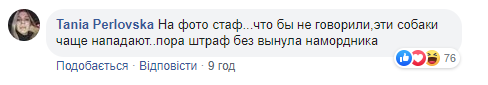 Возвращались из садика: в Киеве собака набросилась на мальчика с отцом и серьезно травмировала (фото)