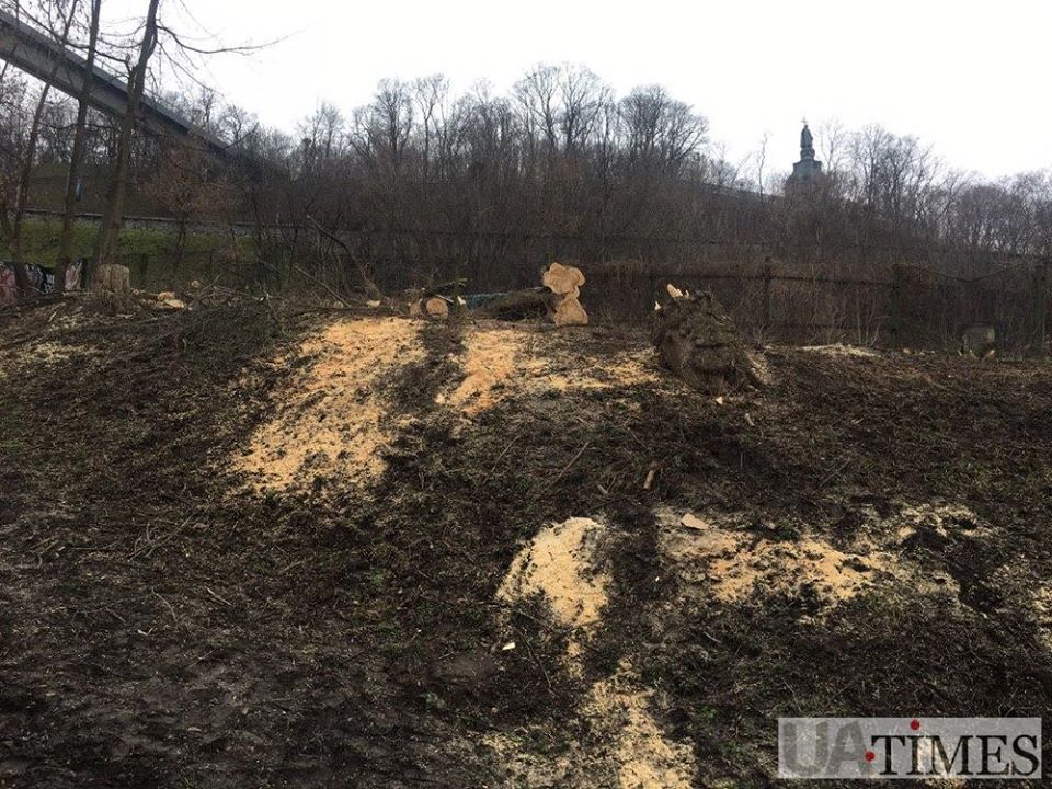 В центре Киева нагло рубят деревья: в зоне культурного наследия (фото)