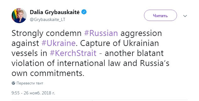 Президент Литви засудила агресію РФ проти України