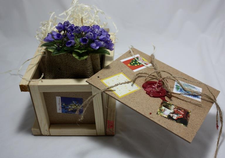 Фиалка расцвела: украинцев пригласили на уникальную выставку