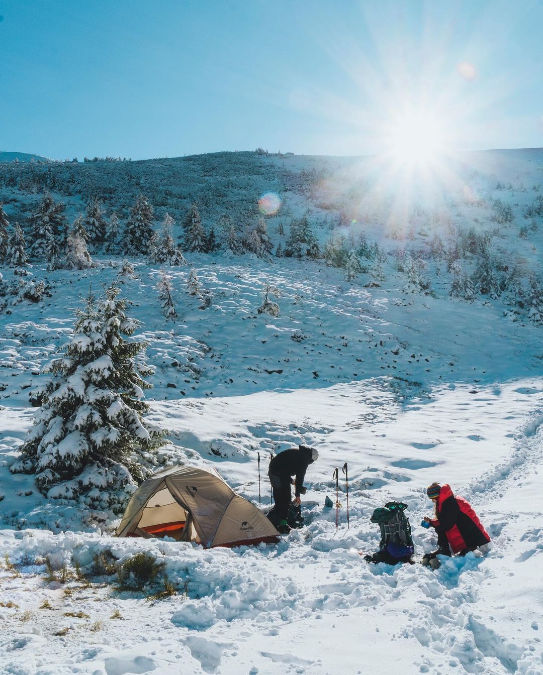 Зима в листопаді: регіон України засипає пухнастим снігом (фото)