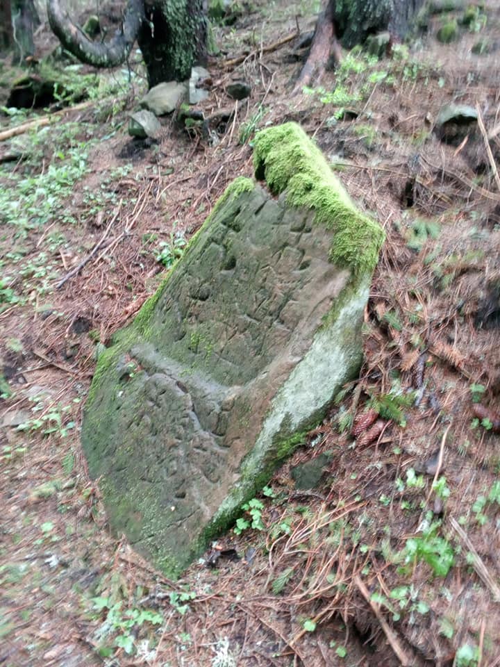 У Карпатах туристи натрапили на загадкові наскельні малюнки: терміново треба викликати Дена Брауна