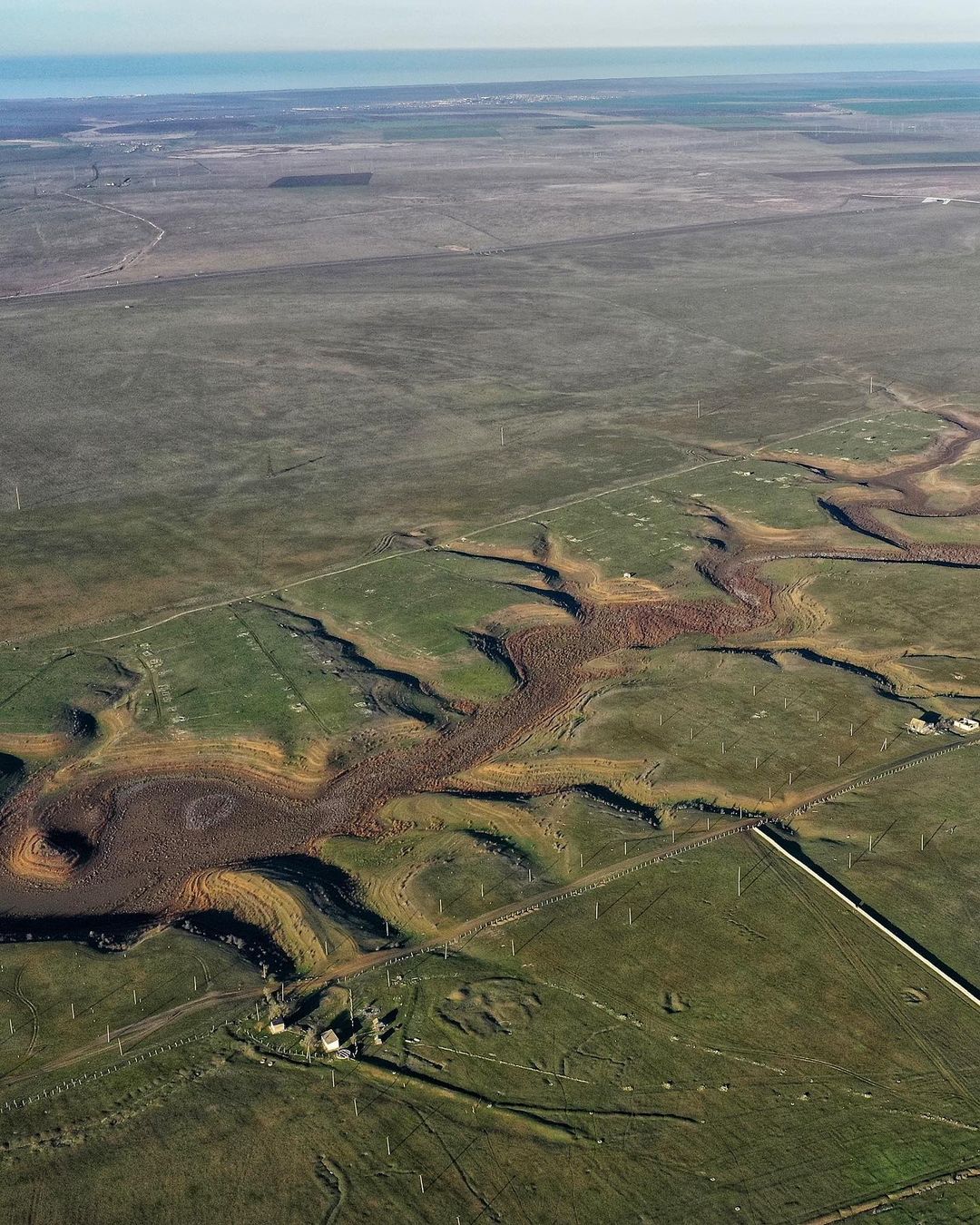 У Криму висохло велике прісне озеро: на дні ростуть дерева