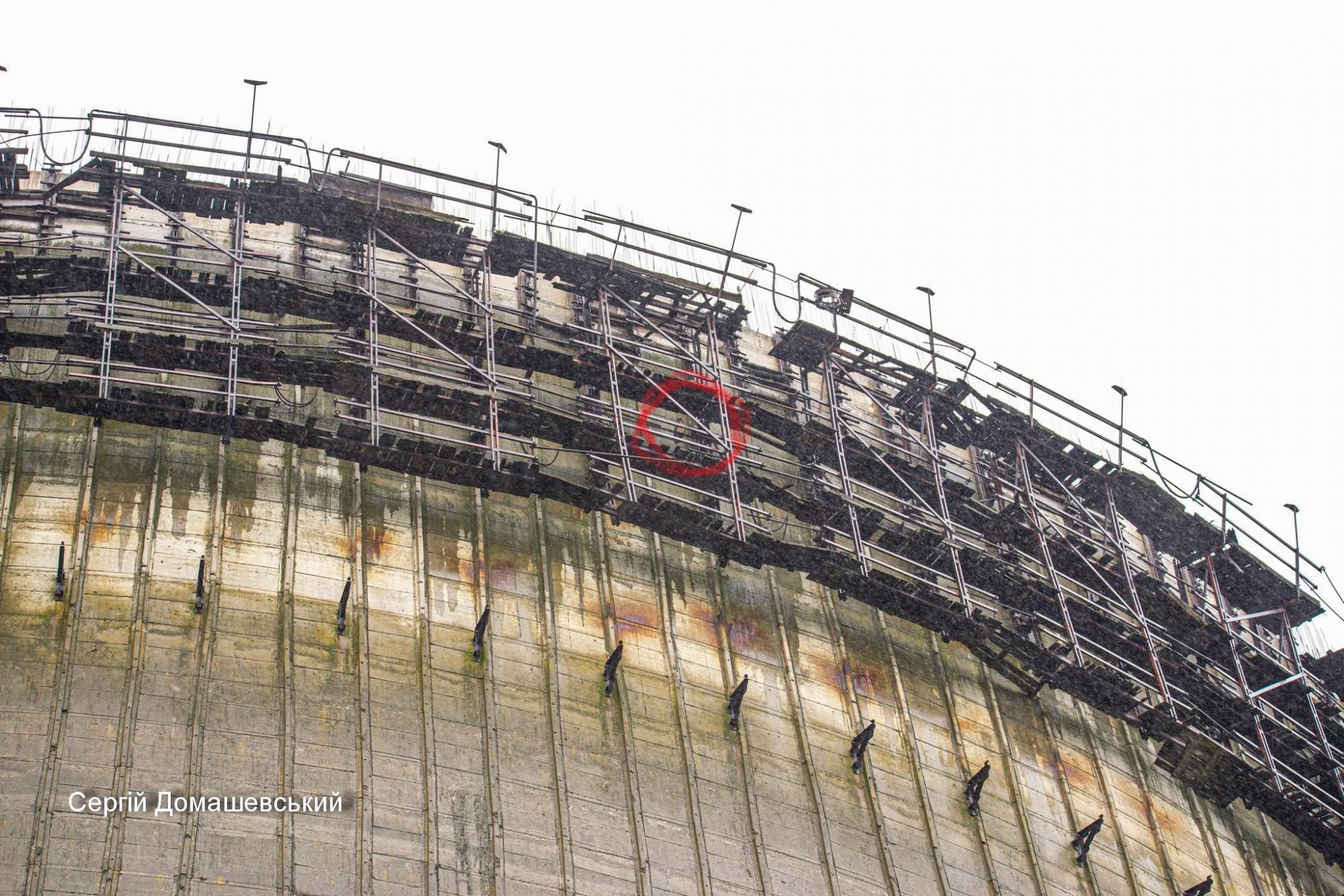 У Чорнобилі величезний хижий птах оселився прямо на градирні ЧАЕС (фото)