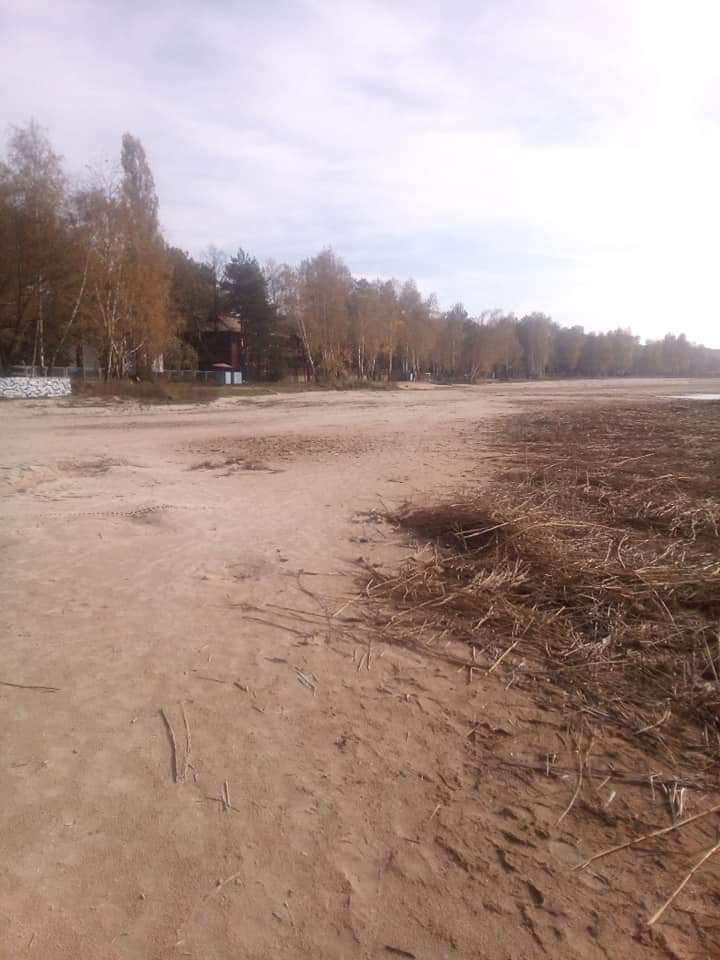 Популярне українське озеро катастрофічно зменшилося: екологи б'ють на сполох