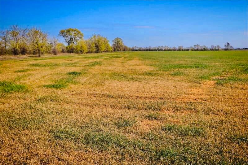 Буде голод: під Одесою люди благають про допомогу