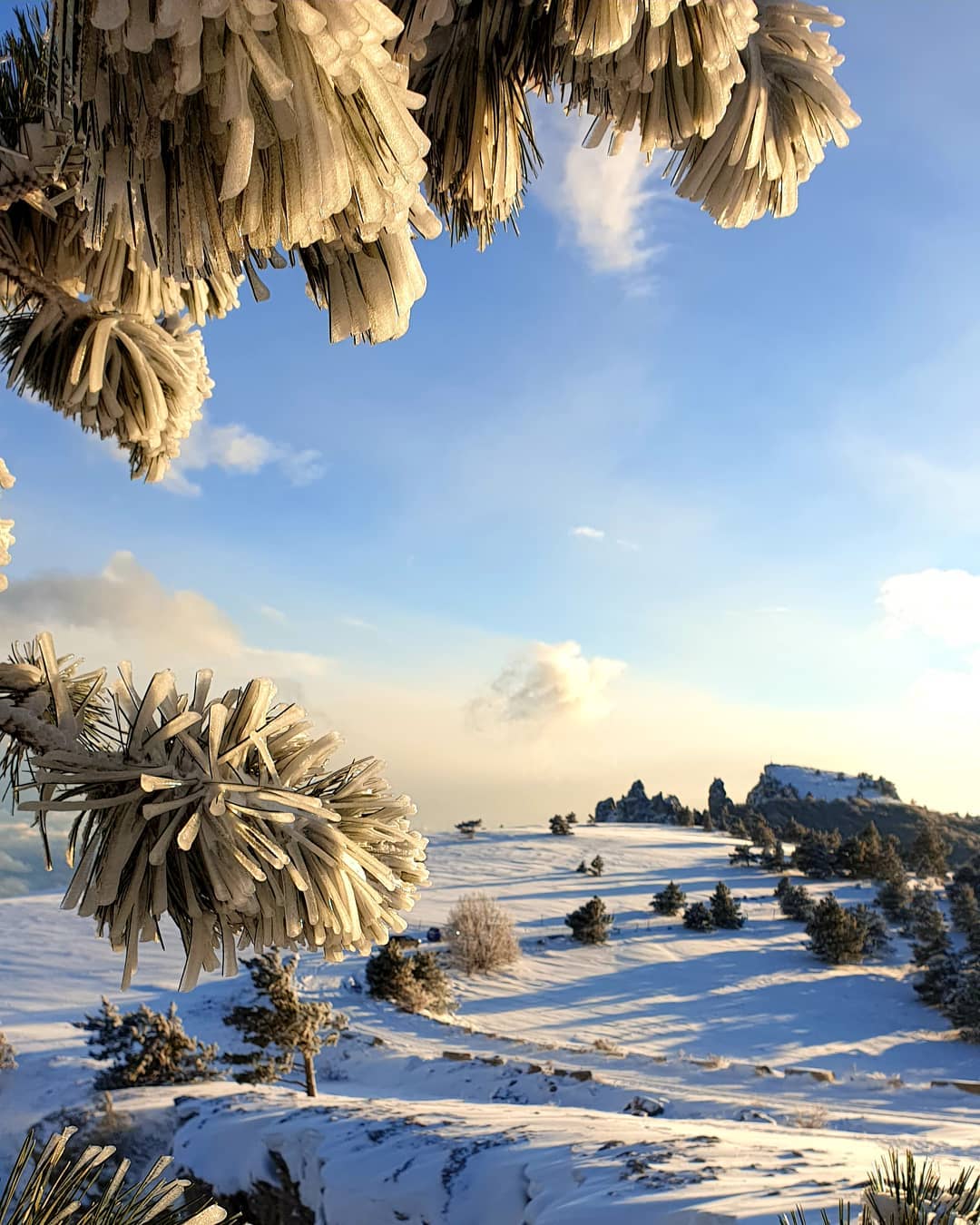 В Крым пришла настоящая зима: от красоты захватывает дух (фото, видео)