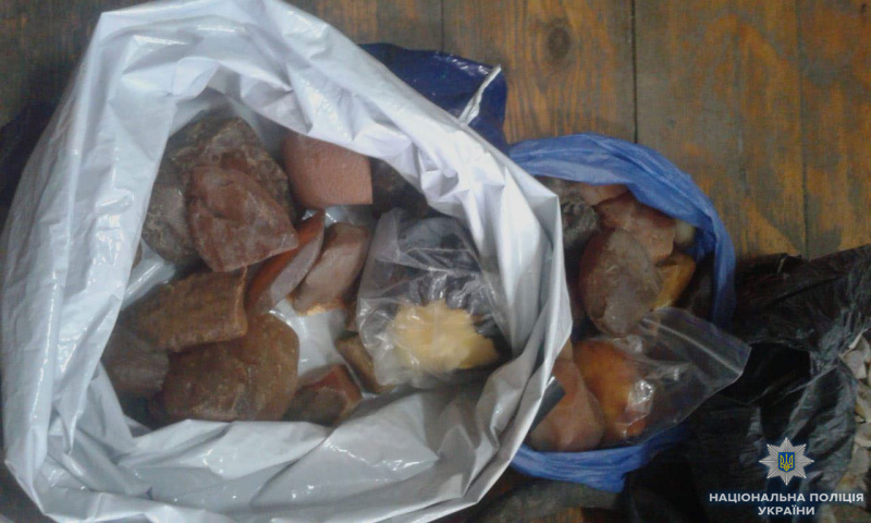 Нацполиция изъяла 70 кг янтаря на 600 тыс. гривен