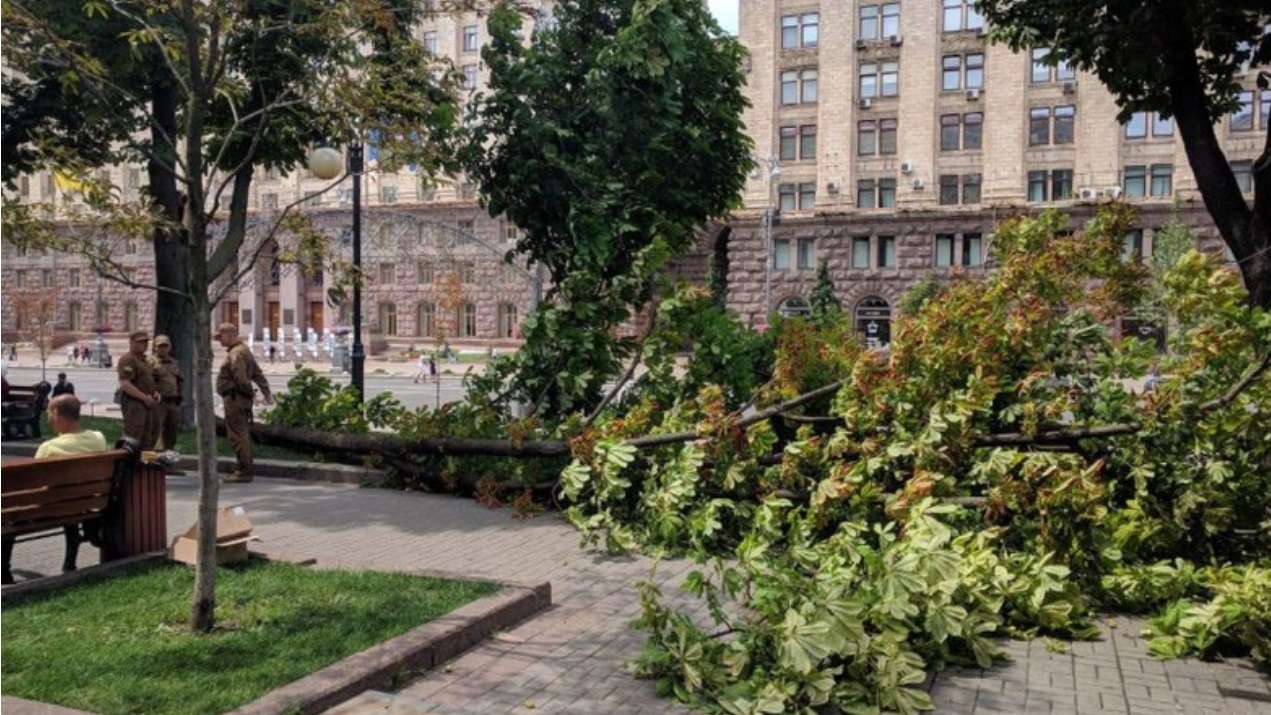 Ветер повалил огромный каштан на Крещатике: фото ЧП под Киеврадой