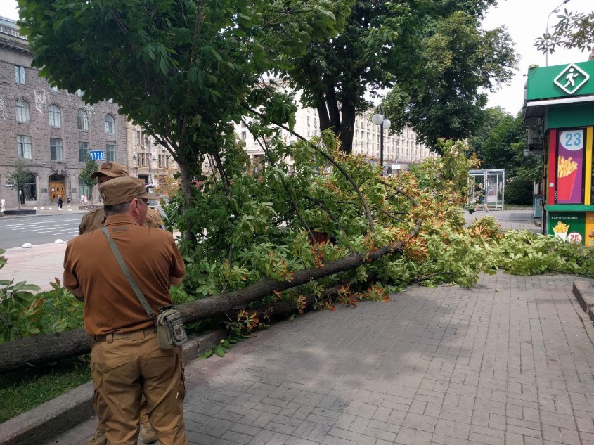 Ветер повалил огромный каштан на Крещатике: фото ЧП под Киеврадой