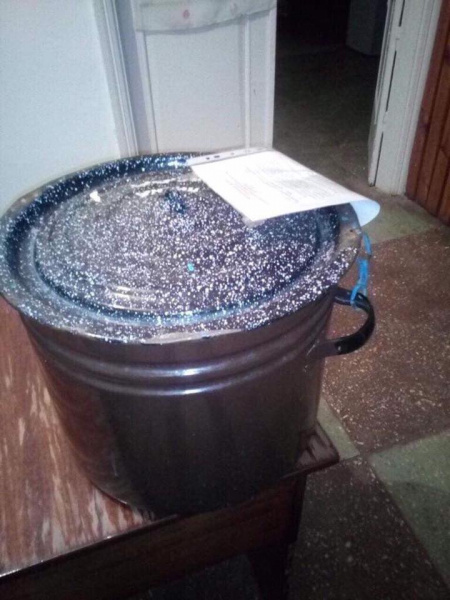 Курйози на виборах 2019: прибульці, собаки і каструлі